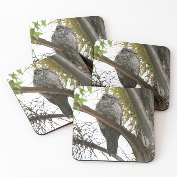 Item preview, Tawny Frog Mouth designed and sold by Kevin Bergin.