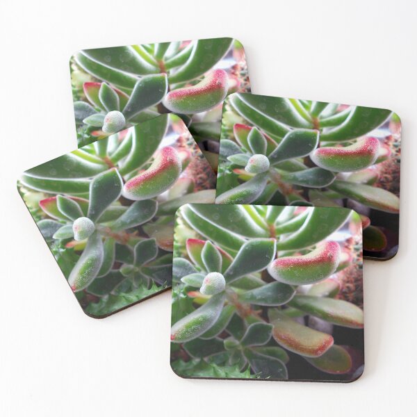 Item preview, ©NS Green Dreams VIA designed and sold by OmarHernandez.