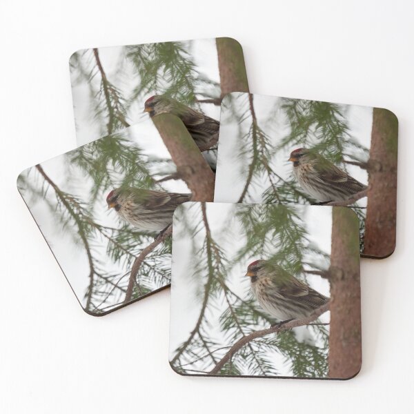 Item preview, Just being careful. Common redpoll designed and sold by Jouko Lehto Photography.