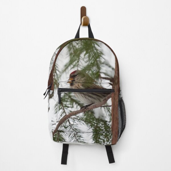 Item preview, Just being careful. Common redpoll designed and sold by Jouko Lehto Photography.
