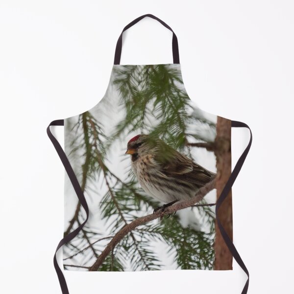 Item preview, Just being careful. Common redpoll designed and sold by Jouko Lehto Photography.