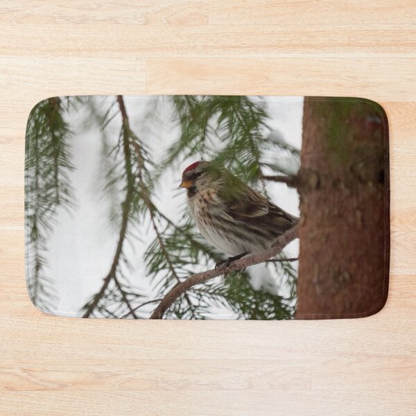 Item preview, Just being careful. Common redpoll designed and sold by Jouko Lehto Photography.