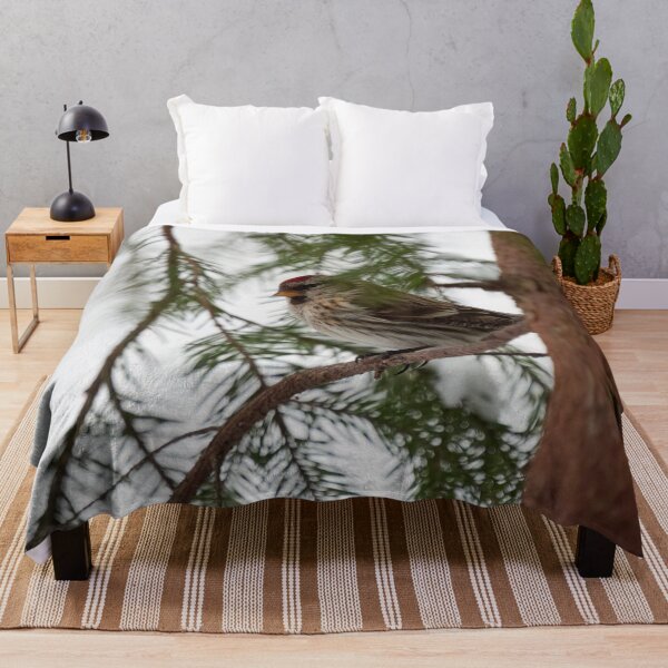 Item preview, Just being careful. Common redpoll designed and sold by Jouko Lehto Photography.