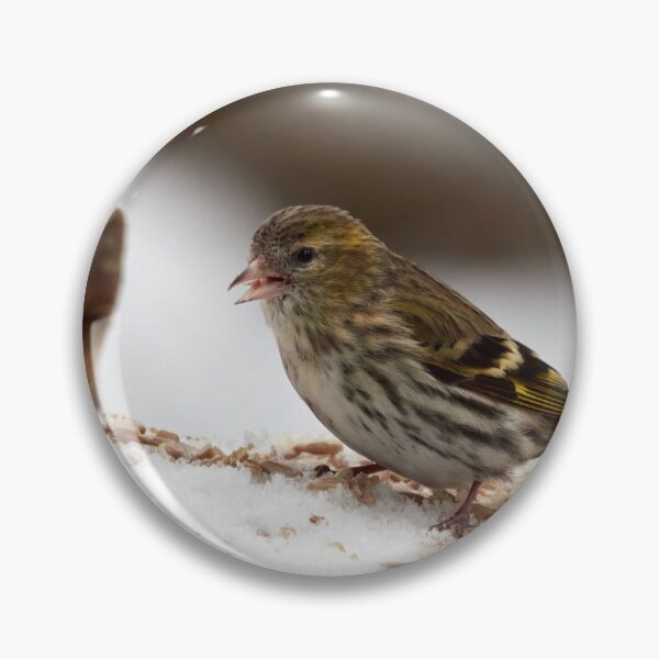 Item preview, Seeds seeds seeds. Eurasian siskin designed and sold by Jouko Lehto Photography.