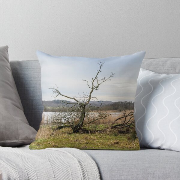 Item preview, Naked Tree at the Lake shore in Scandinavia designed and sold by MejerPhotoArt.