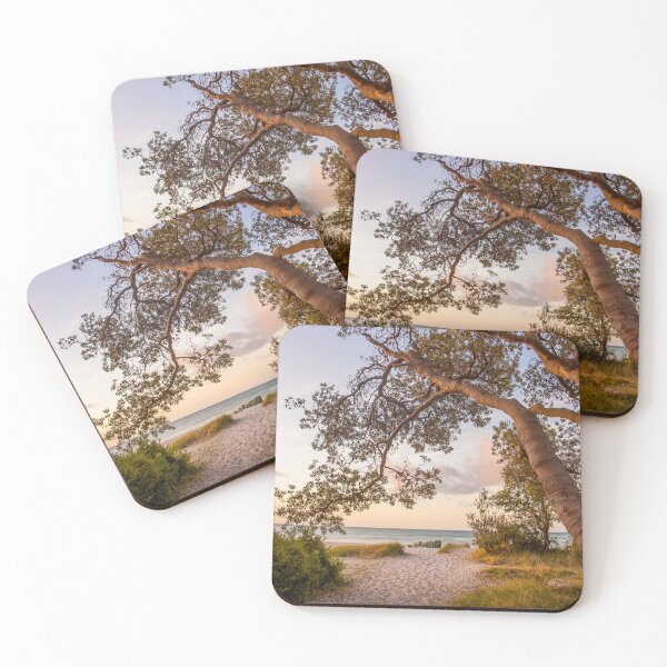 Item preview, McCrae Beach Banksia Trees, Mornington Peninsula, Victoria, Australia designed and sold by Vicki Walsh.