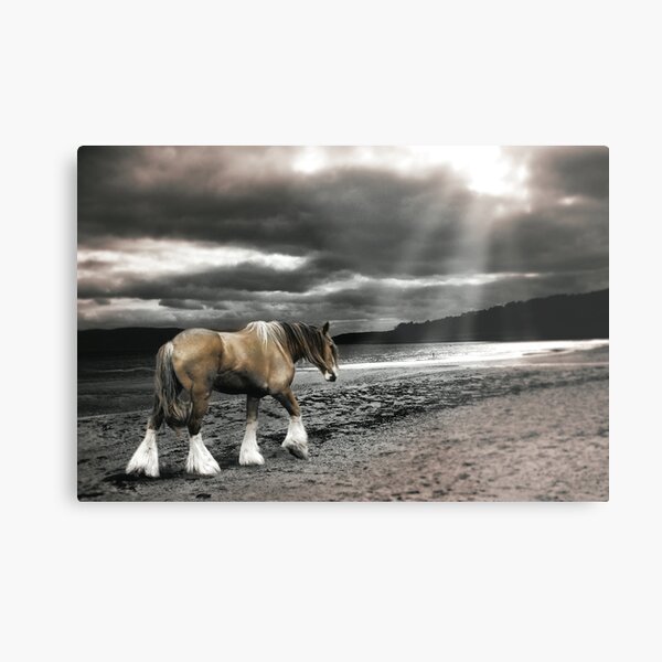 Goin'Home Metal Print