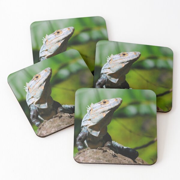 Item preview, The best shot of an iguana I have ever taken.  designed and sold by Aiko  Ota.