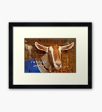 I'm not a kid any more: goat Framed Print