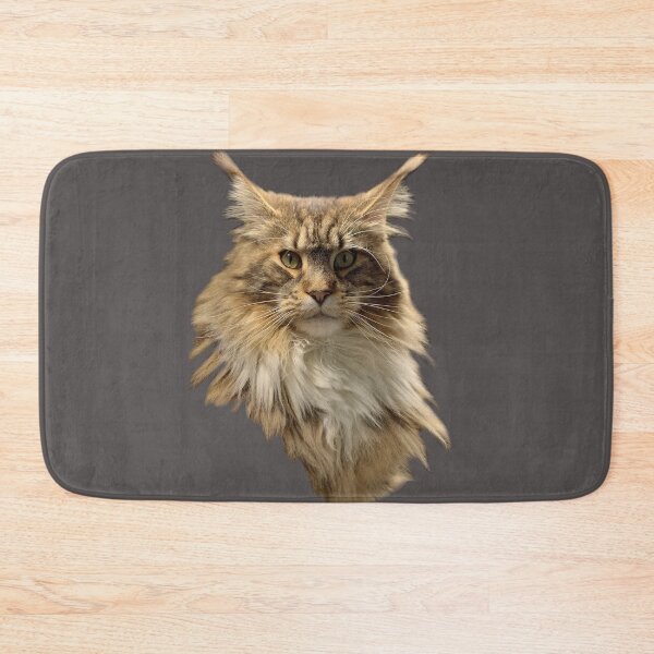 Aperçu de l'œuvre Chat Main Coon créée et vendue par Vanja Rosenthal.