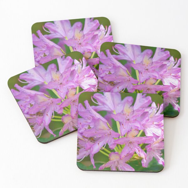 Item preview, Close up of purple azalea designed and sold by yackers1.