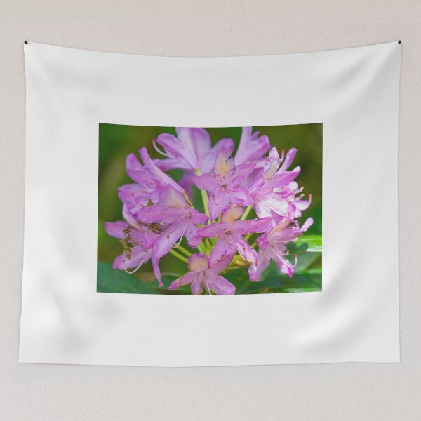 Item preview, Close up of purple azalea designed and sold by yackers1.