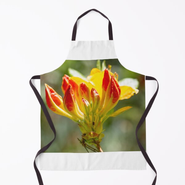 Item preview, Close up of a yellow and orange rhododendron  designed and sold by yackers1.