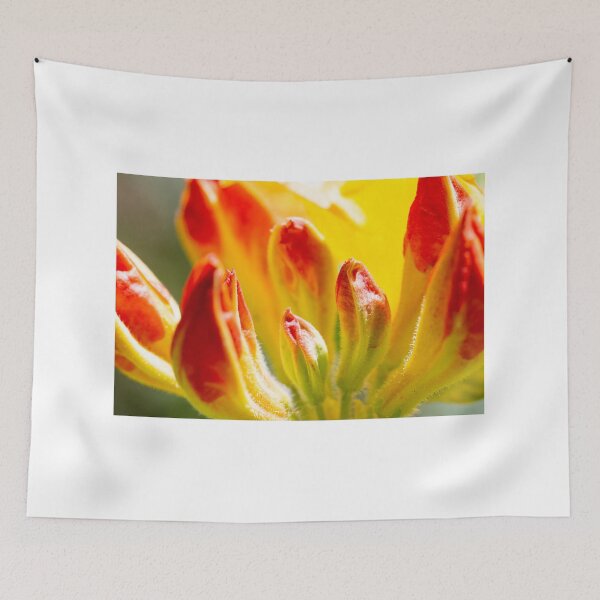 Item preview, Close up macro shot of a yellow and orange rhododendron designed and sold by yackers1.