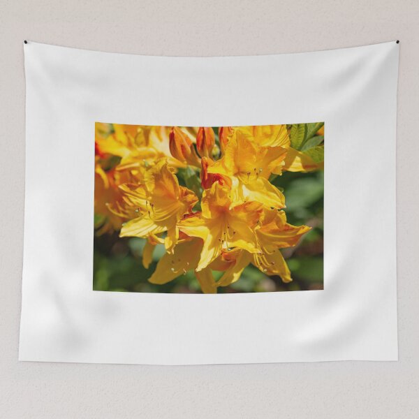 Item preview, Bright yellow rhododendron flowers  designed and sold by yackers1.