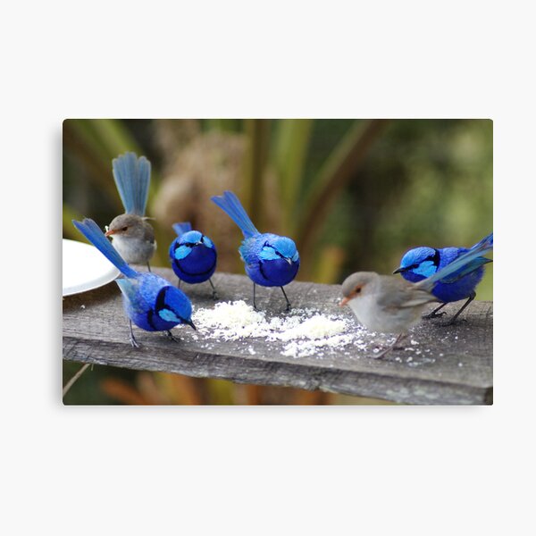 Bluey,s restaurant. Canvas Print