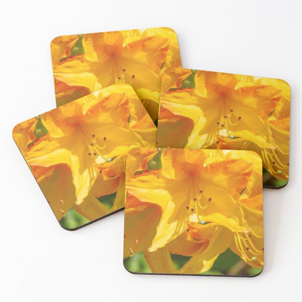Item preview, Bright yellow rhododendron flowers  designed and sold by yackers1.