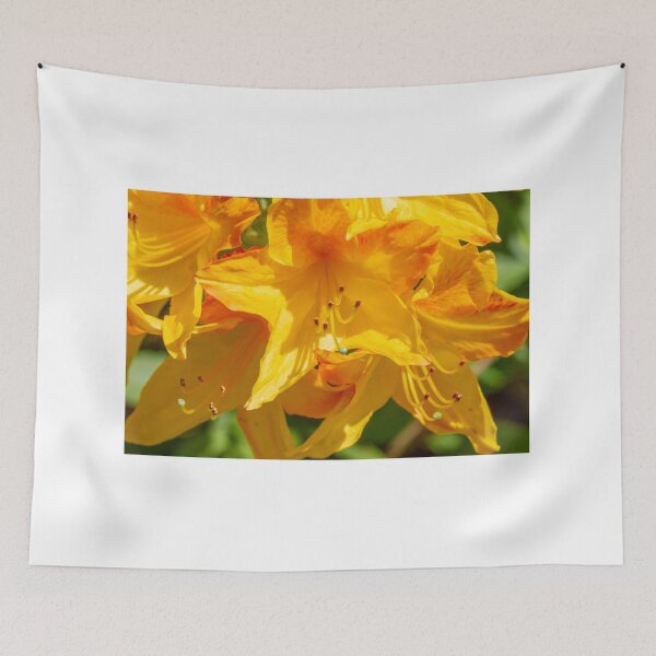 Item preview, Bright yellow rhododendron flowers  designed and sold by yackers1.