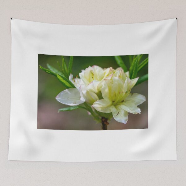Item preview, Close up macro shot of white rhododendron flowers  designed and sold by yackers1.