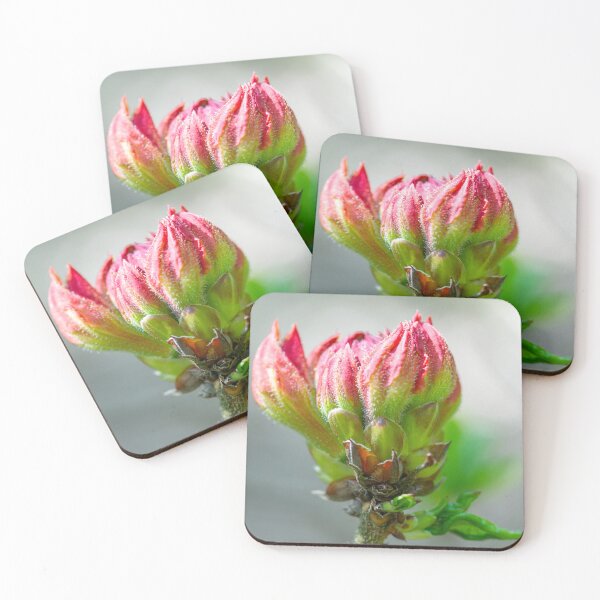 Item preview, Pink rhododendron bud designed and sold by yackers1.