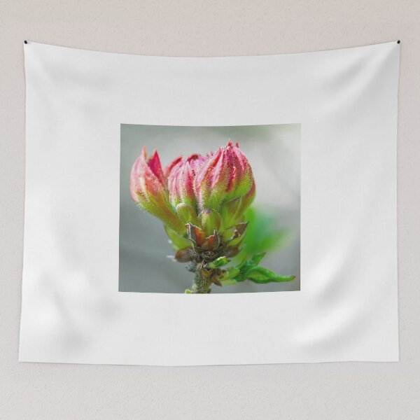 Item preview, Pink rhododendron bud designed and sold by yackers1.