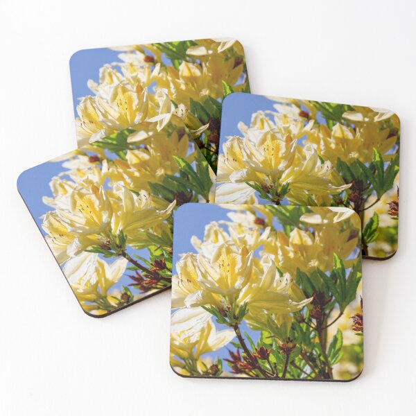 Item preview, white rhododendrons designed and sold by yackers1.