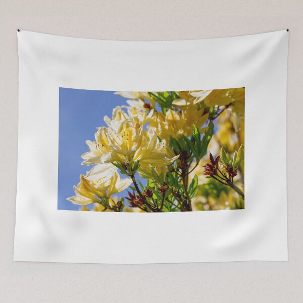 Item preview, white rhododendrons designed and sold by yackers1.