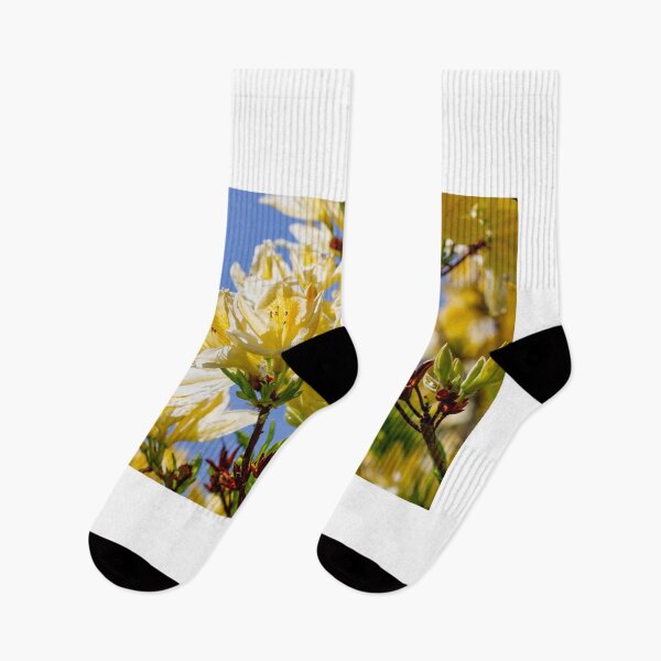 Item preview, white rhododendrons designed and sold by yackers1.