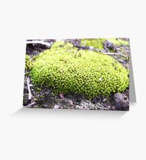 Moss of Tammin Greeting Card