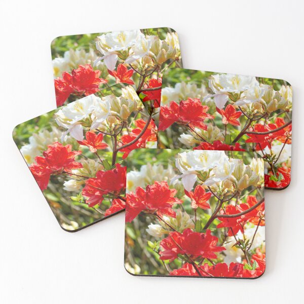 Item preview, Red and white rhododendrons designed and sold by yackers1.