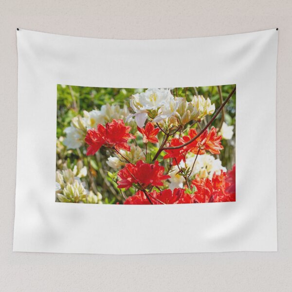 Item preview, Red and white rhododendrons designed and sold by yackers1.