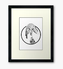The Fox Playing Framed Print