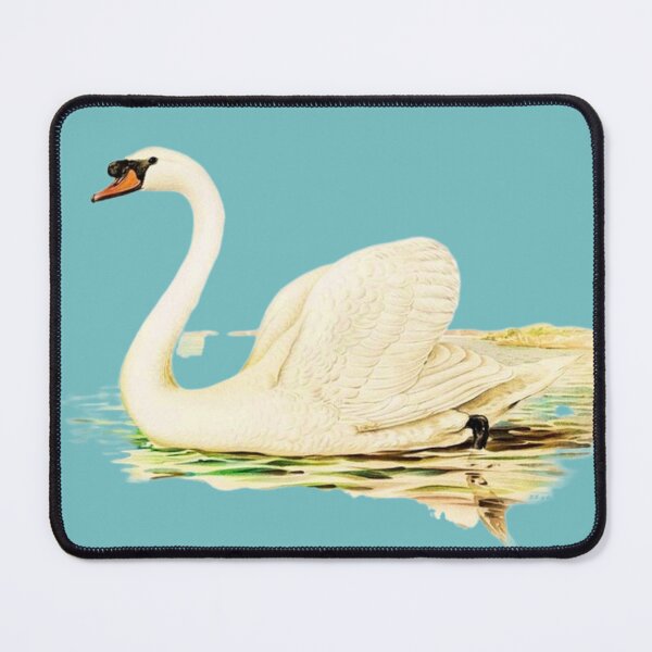 Item preview, Mute Swan male (Cygnus olor) illustrated by the von Wright brothers on pink background. Digitally enhanced by WatermarkNZ Press) designed and sold by CristalleLisa.