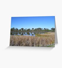Harmony Greeting Card
