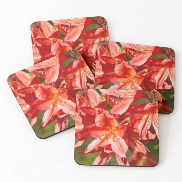 Item preview, Red rhododendrons designed and sold by yackers1.