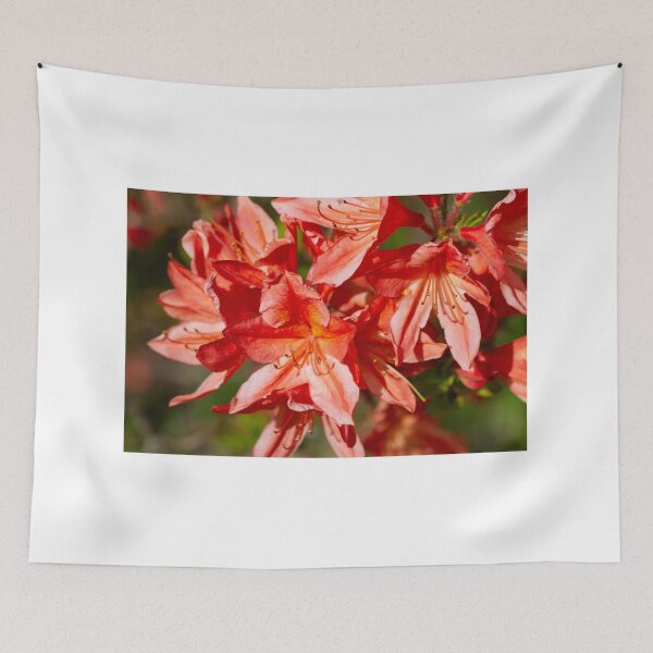 Item preview, Red rhododendrons designed and sold by yackers1.