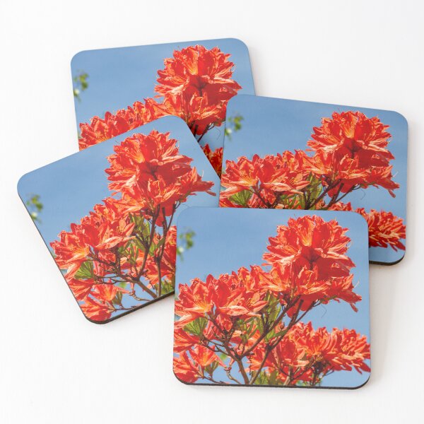 Item preview, Red rhododendrons designed and sold by yackers1.
