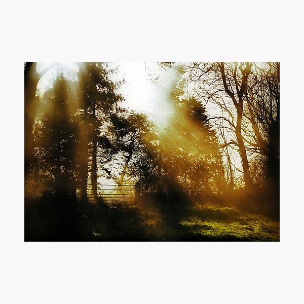Artikelvorschau, Morning Sunlight entworfen und verkauft von A90Six.