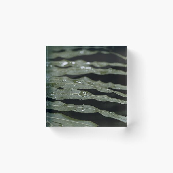Item preview, Macro Rainy Day Leaf Photography designed and sold by E-Elemental.