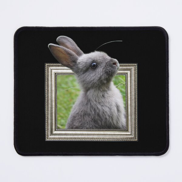 Item preview, Rabbit in frame with 3D effect designed and sold by borabiii.