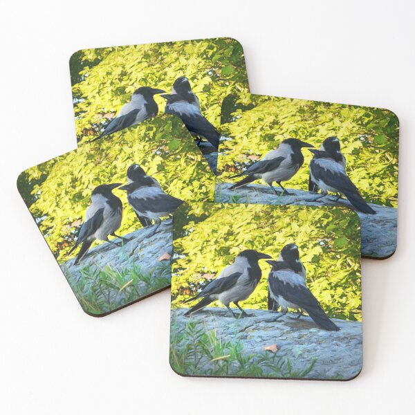 Item preview, Family of Hooded Crows designed and sold by Taina Sohlman.