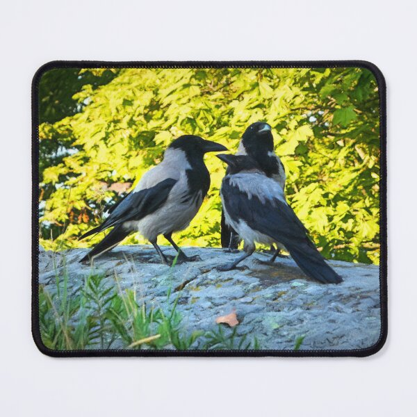 Item preview, Family of Hooded Crows designed and sold by Taina Sohlman.