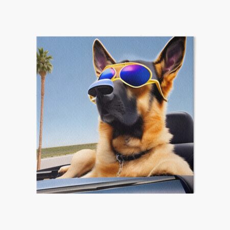 Dog wearing Sunglasses. German Shepherd wearing Sunglasses Art Board Print for Sale by Doggymadness Redbubble