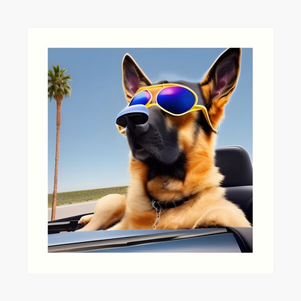 German shepherd wearing sunglasses best sale