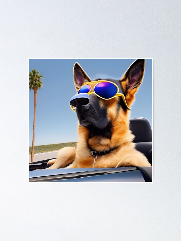 German shepherd best sale with sunglasses