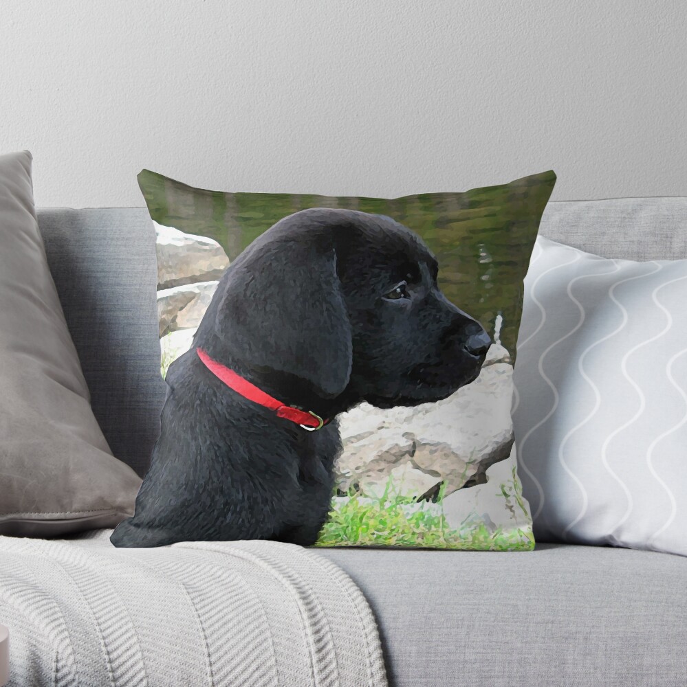 Black Lab #1 20 x 20 Pillow - Eric and Christopher