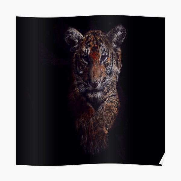 Tigris by M.A Poster
