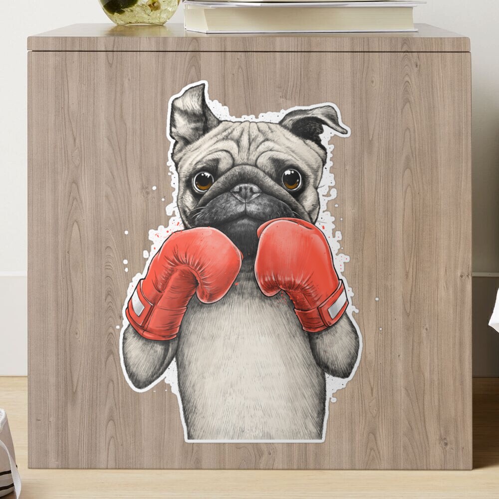 narrow-raven714: a pug with boxing gloves