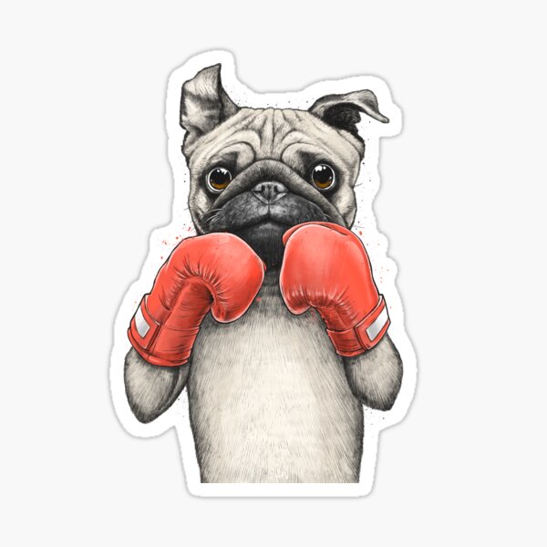 Pug boxer Sticker for Sale by NIKITA KORENKOV NikKor