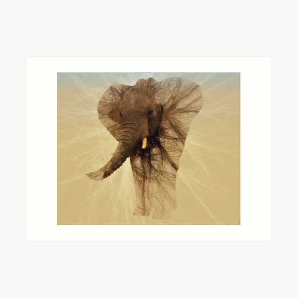 Loxodonta Africana by M.A Art Print